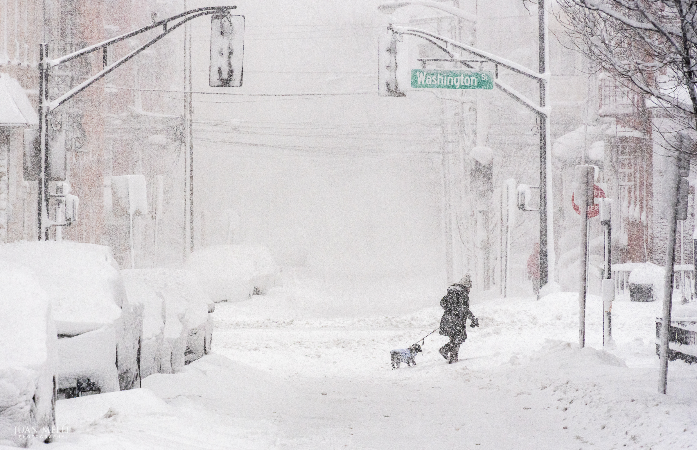 Blizzard or not, the dog still needs a walk.