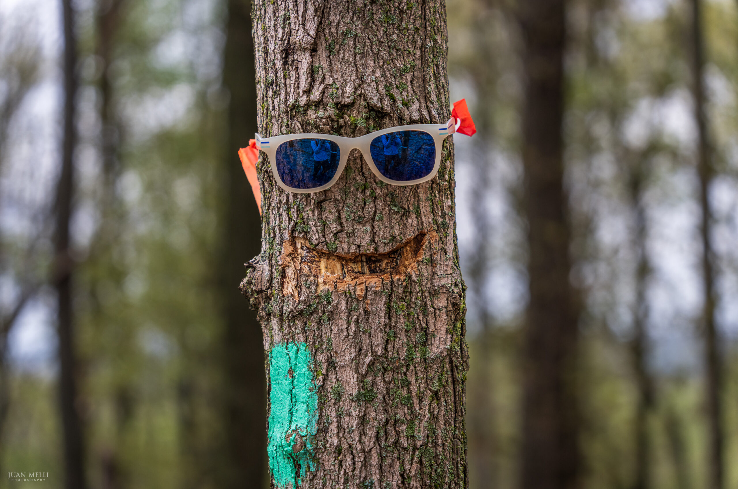 Smiley Tree