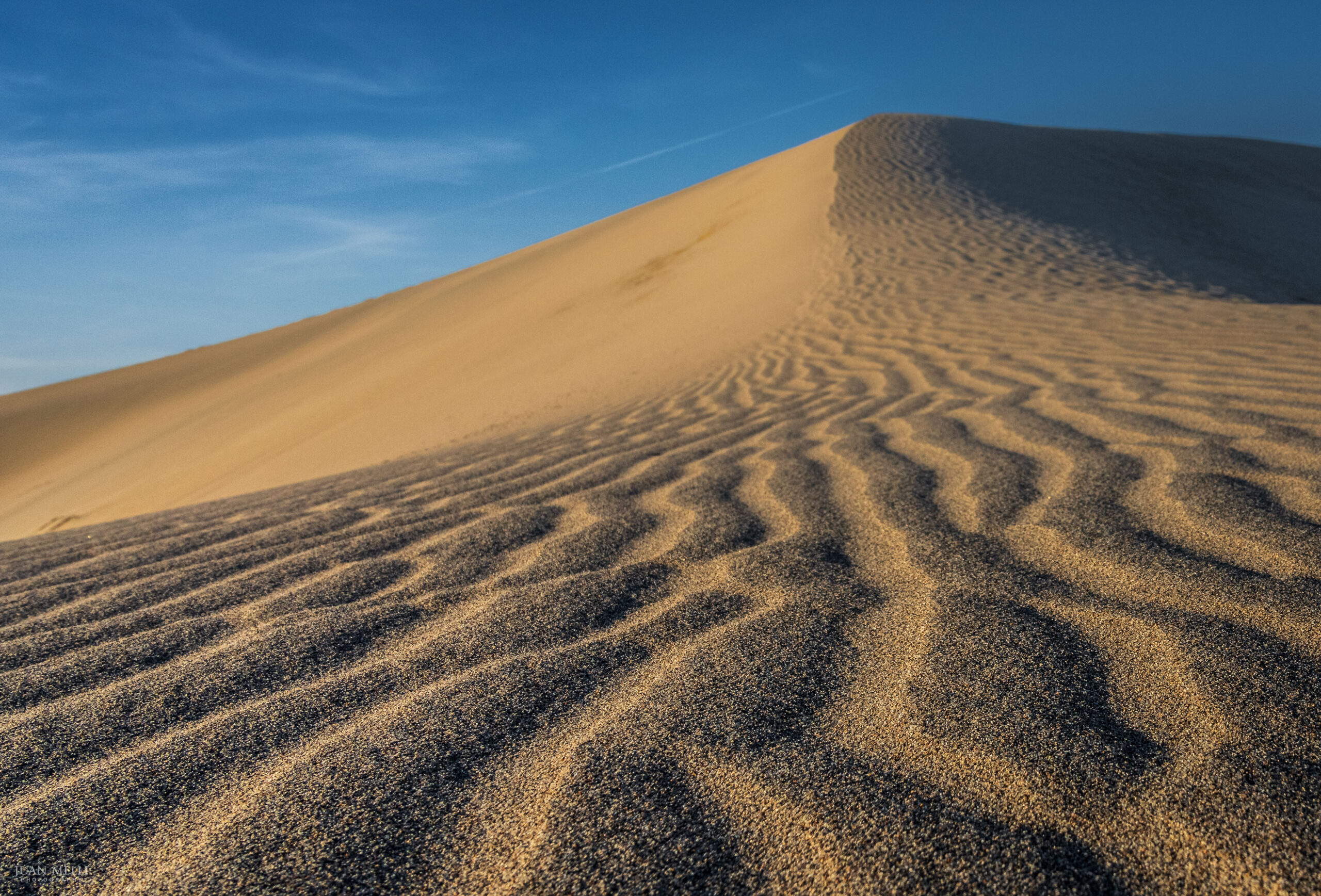 Mesuite Flat Sand Dunes