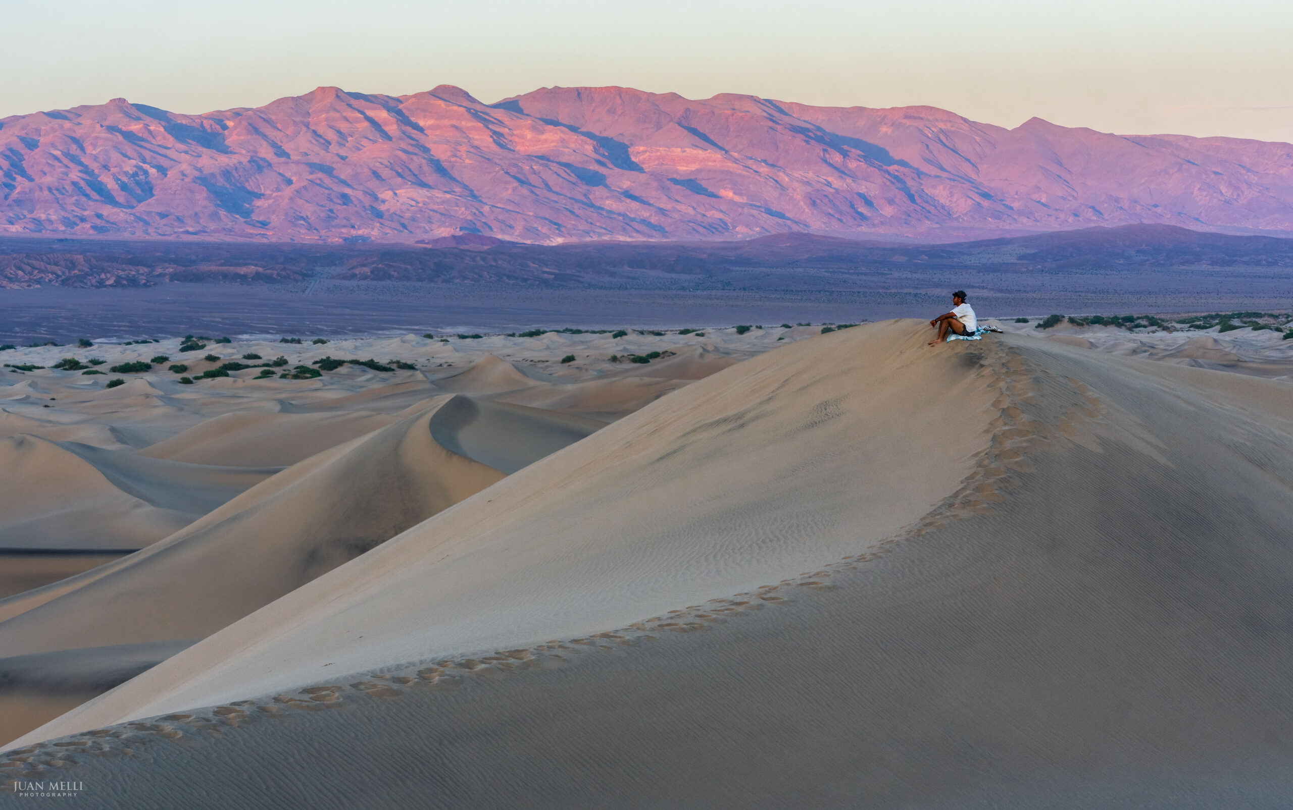 Mesuite Flat Sand Dunes