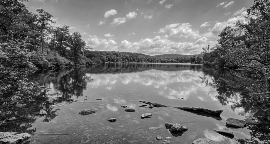 Sunfish Pond